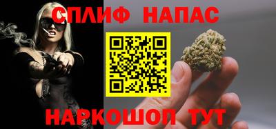 МДПВ Гатчина