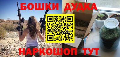 МДПВ Гатчина